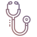 Animal Hospital in Verona NJ 2