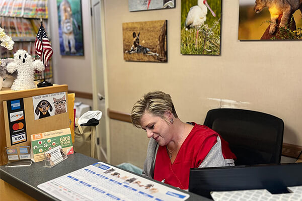 Marsh Hospital reception