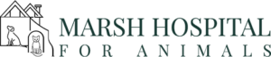 Marsh Hospital for Animals